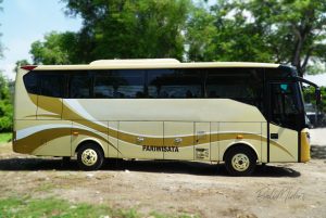 Bus 29 Seats