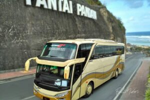 Bus 35 Seats