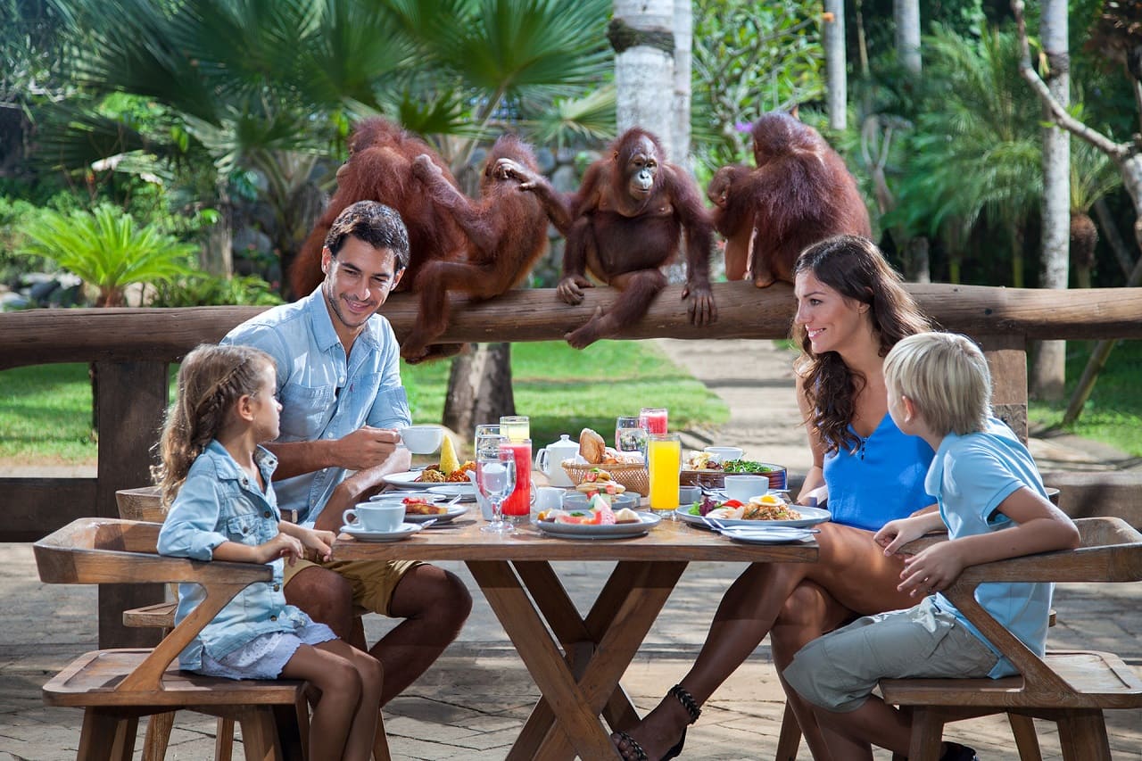 Bali Zoo Tour Experience