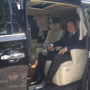 Toyota Alphard transformer