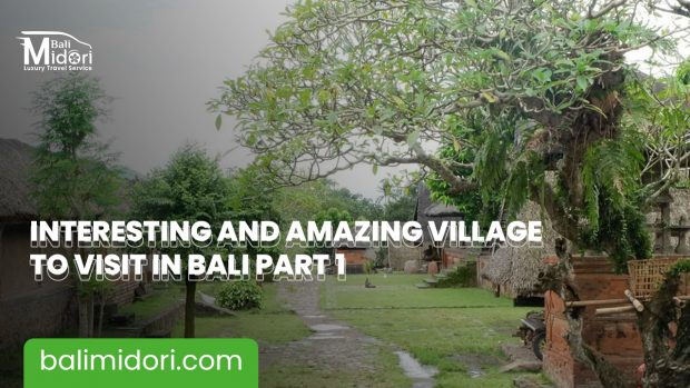 Interesting and Amazing Village to Visit in Bali Part 1