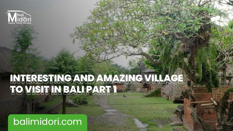Interesting and Amazing Village to Visit in Bali Part 1