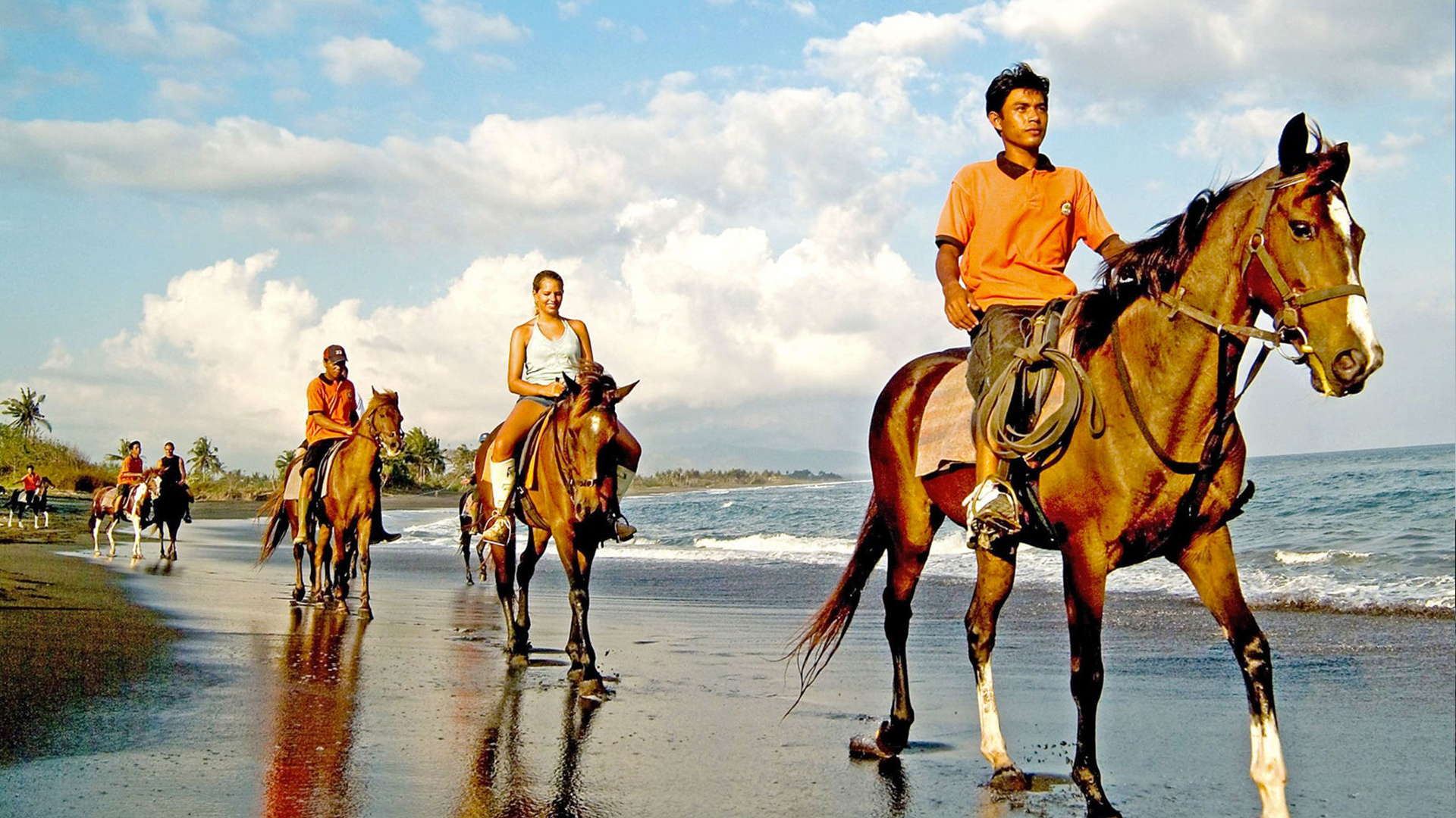 Horse Riding Canggu Horse Riding Canggu