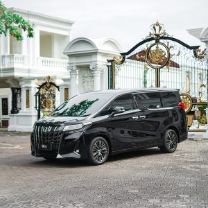 Alphard Transformers