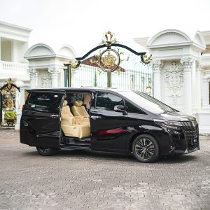 Alphard Transformers