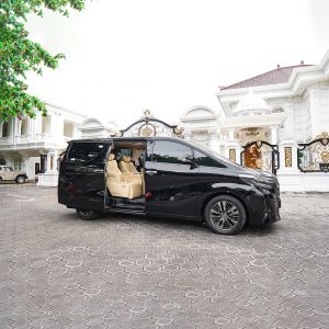 Alphard Transformers