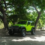 bali midori green wrangler