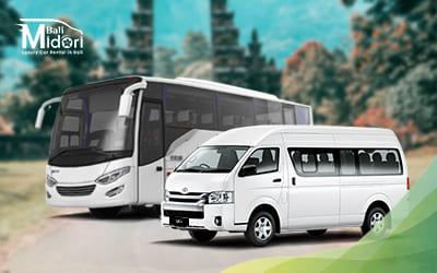 Bali Midori Large Car