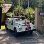 VW Safari Wedding