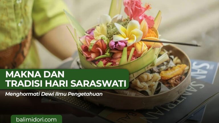 MIDORI TRAVEL SARASWATI (1)