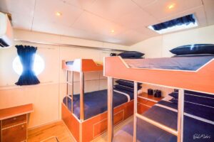 Haruku – Mega Catamaran 73 Ft