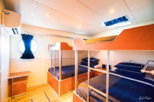 Haruku – Mega Catamaran 73 Ft