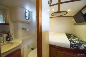 Jemme – Sailing Catamaran 43 Ft
