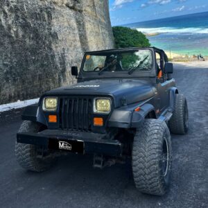 Jeep CJ7 Black DoV