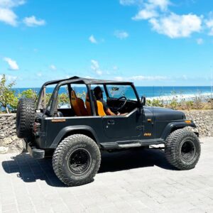 Jeep CJ7 Black DoV