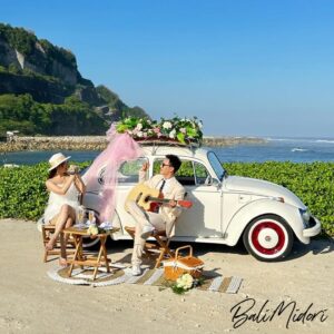 VW Beetle White