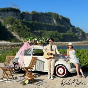 VW Beetle White