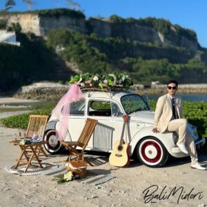 VW Beetle White