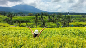 Bedugul Day Tour – Handara Gate, Wanagiri Hills & Jatiluwih Rice Terraces