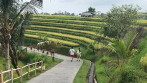 Bedugul Day Tour – Handara Gate, Wanagiri Hills & Jatiluwih Rice Terraces