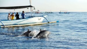 Lovina Dolphin Tour – Snorkeling, Ulun Danu Temple & Handara Gate