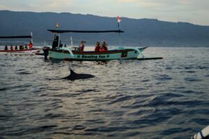 Lovina Dolphin Tour – Snorkeling, Ulun Danu Temple & Handara Gate