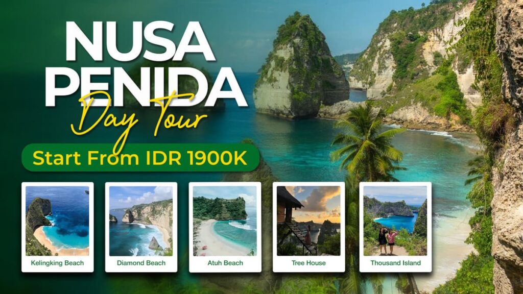 Nusa Penida Day Tour – Kelingking Beach, Diamond Beach & Tree House