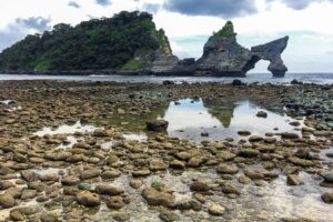 Nusa Penida Day Tour – Kelingking Beach, Diamond Beach & Tree House