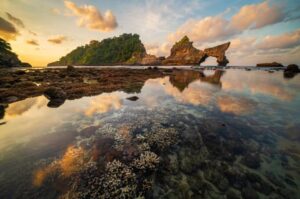 Nusa Penida Day Tour – Kelingking Beach, Diamond Beach & Tree House