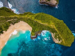 Nusa Penida Day Tour – Kelingking Beach, Diamond Beach & Tree House