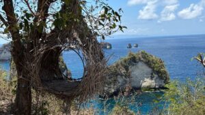Nusa Penida Day Tour – Kelingking Beach, Diamond Beach & Tree House