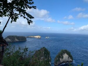 Nusa Penida Day Tour – Kelingking Beach, Diamond Beach & Tree House