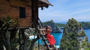Nusa Penida Day Tour – Kelingking Beach, Diamond Beach & Tree House