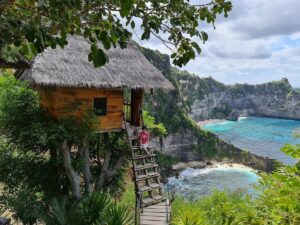 Nusa Penida Day Tour – Kelingking Beach, Diamond Beach & Tree House