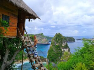 Nusa Penida Day Tour – Kelingking Beach, Diamond Beach & Tree House
