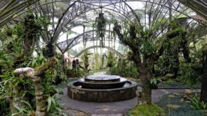 Bedugul Day Tour – Handara Gate, Wanagiri Hills & Jatiluwih Rice Terraces