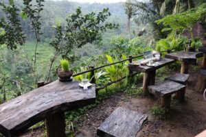 Ubud Day Tour Bali – Temples, Waterfalls & Monkey Forest Adventure