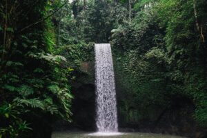Ubud Day Tour Bali – Temples, Waterfalls & Monkey Forest Adventure