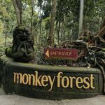 monkey forest ubud..