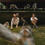 monkey forest ubud