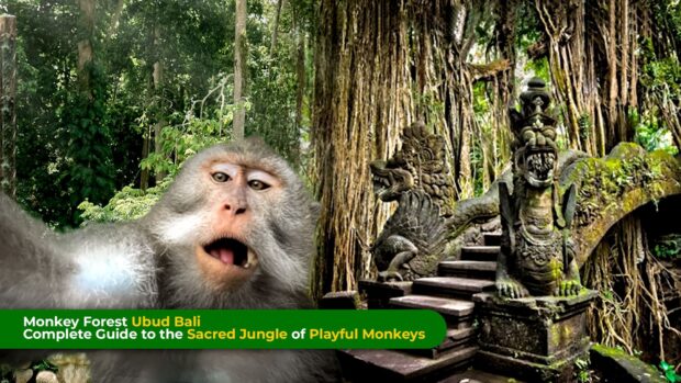 monkey forest ubud bali monkey forest ubud bali