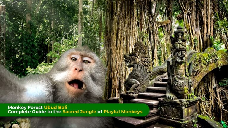 monkey forest ubud bali