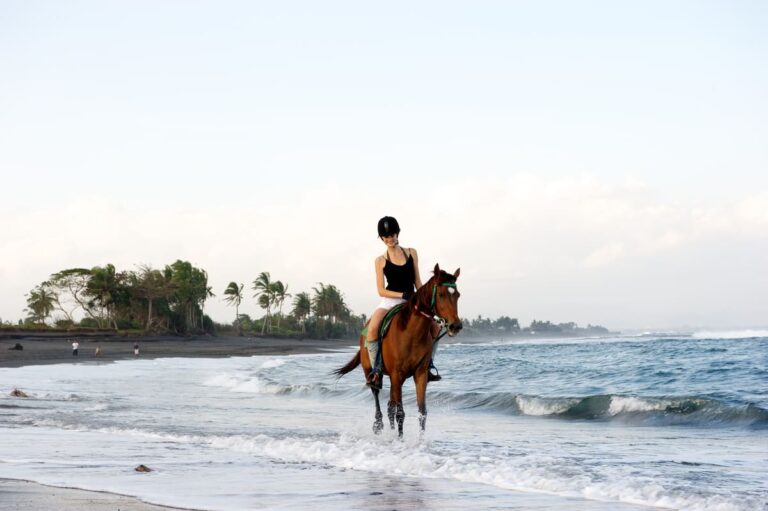 Bali Horse Riding Package