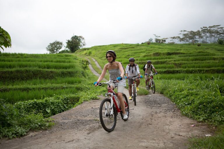 Jatiluwih Rice Paddy Cycling