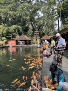 Tirta Empul Temple Bali: Complete Guide to the Water Purification Ceremony