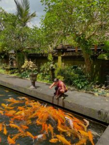 Tirta Empul Temple Bali: Complete Guide to the Water Purification Ceremony