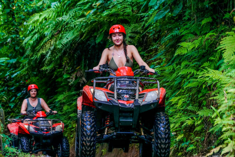 ATV 250cc