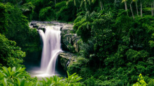 Paket Wisata Bali 3 Hari 2 Malam