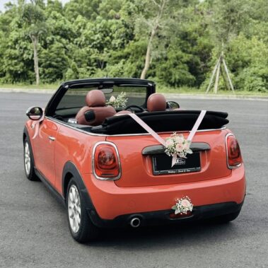 Mini Cooper Wedding