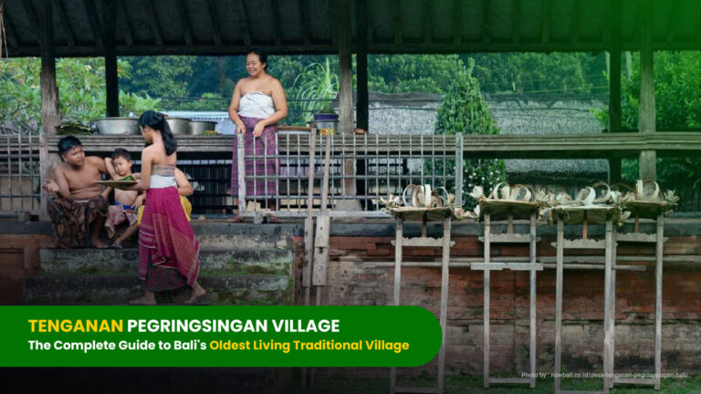 Tenganan Village Bali — The Complete Guide to Bali's Oldest Living Village